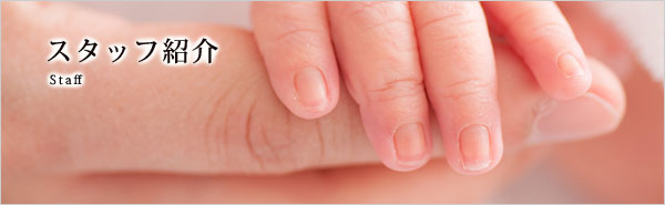 �X�^�b�t�Љ�